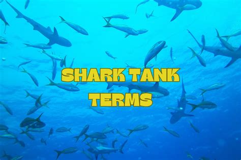 shark tank meaning|shark tank terms explained.